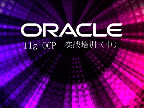 Oracle11g OCP 考试实战培训视频课程(中)(共