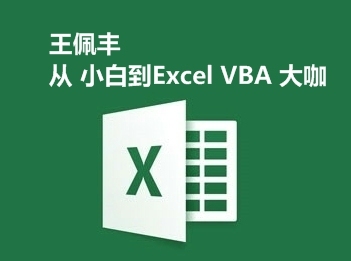 【王佩丰】从excel小白到excel vba大咖课程