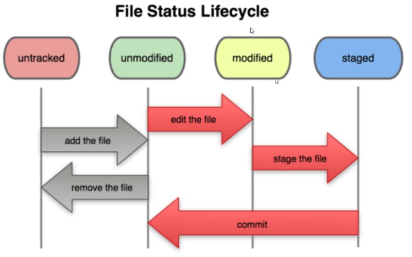 file life cycle.jpg