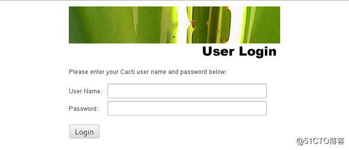 Cacti6.jpg
