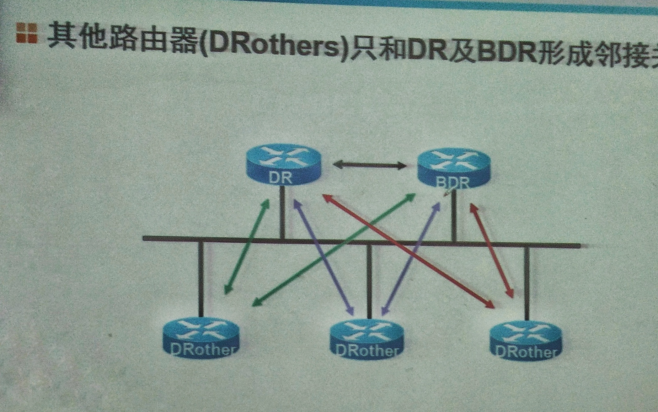 ospf5.jpeg