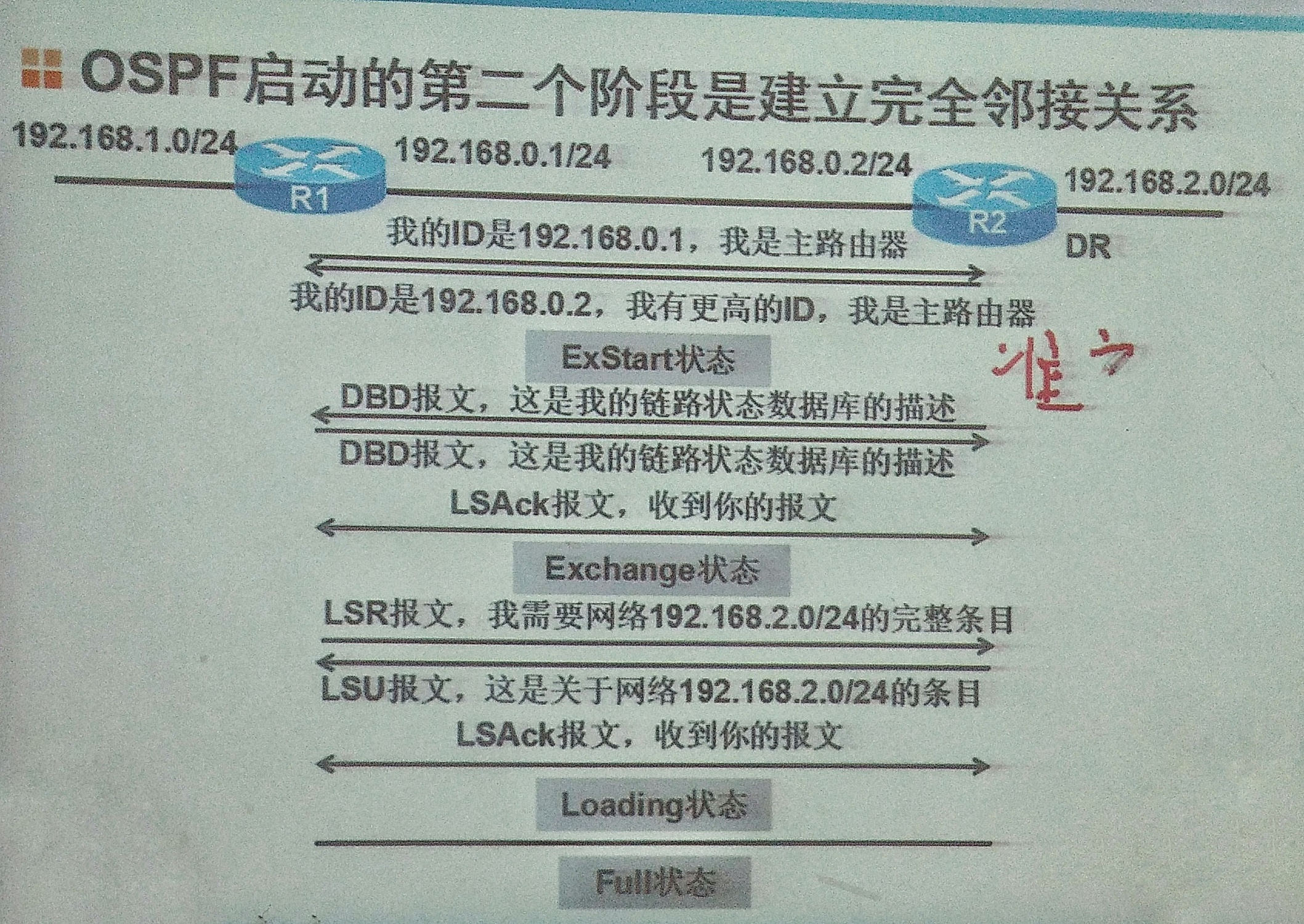 ospf10.jpeg