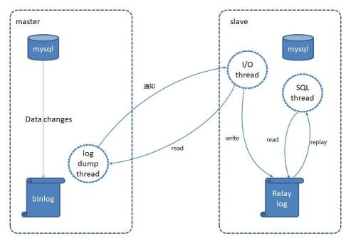 mysql22.jpg