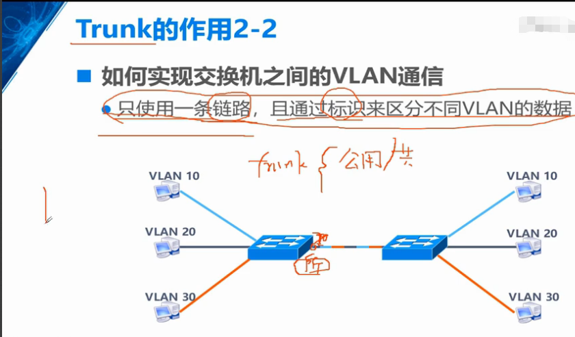 vlan概述和实验,trunk的原理和实验,三层交换机的原理