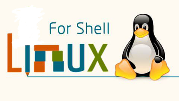面试Linux运维一定会问到的Shell脚本这24个问