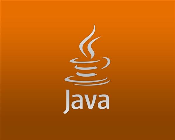 期待已久：Java终于支持白名单