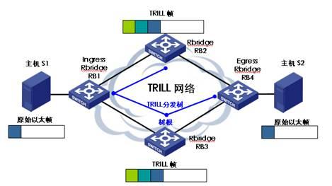 TRILL技术及其组网模型