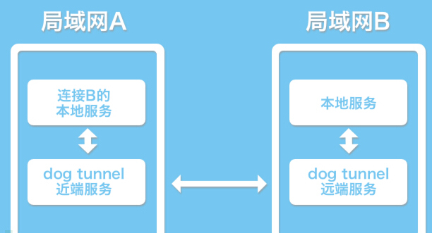 P2P端口映射开源工具：狗洞(dog-tunnel)