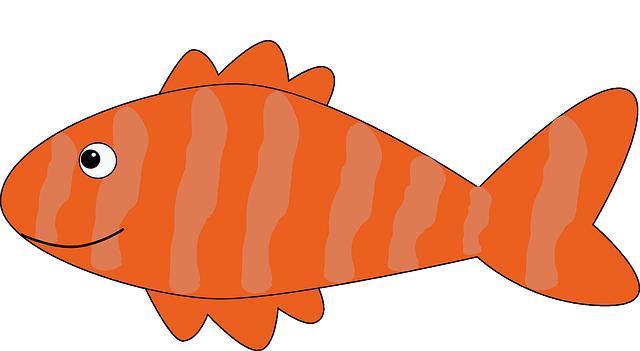 salmon-149372_640.png