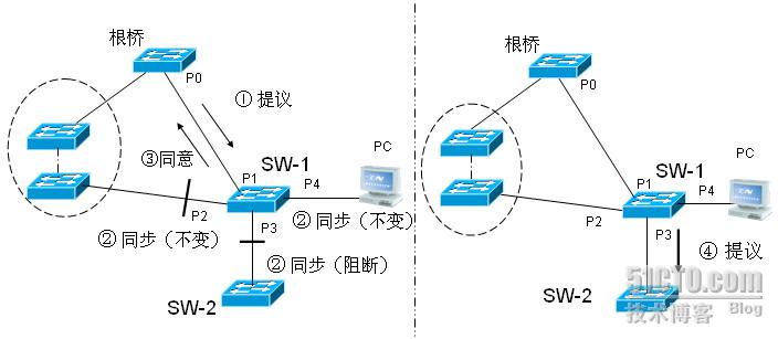 理解快速生成树协议(RSTP)（二）