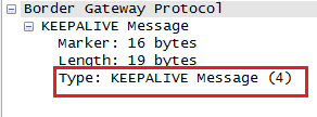 BGP消息格式-keepalive