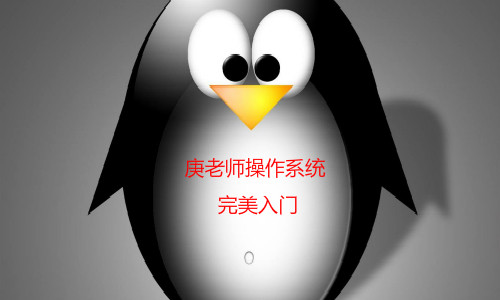 庚老师Linux系统完美入门指南视频课程