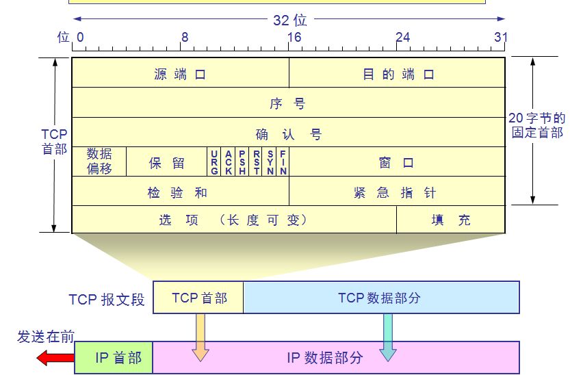 TCP报文格式