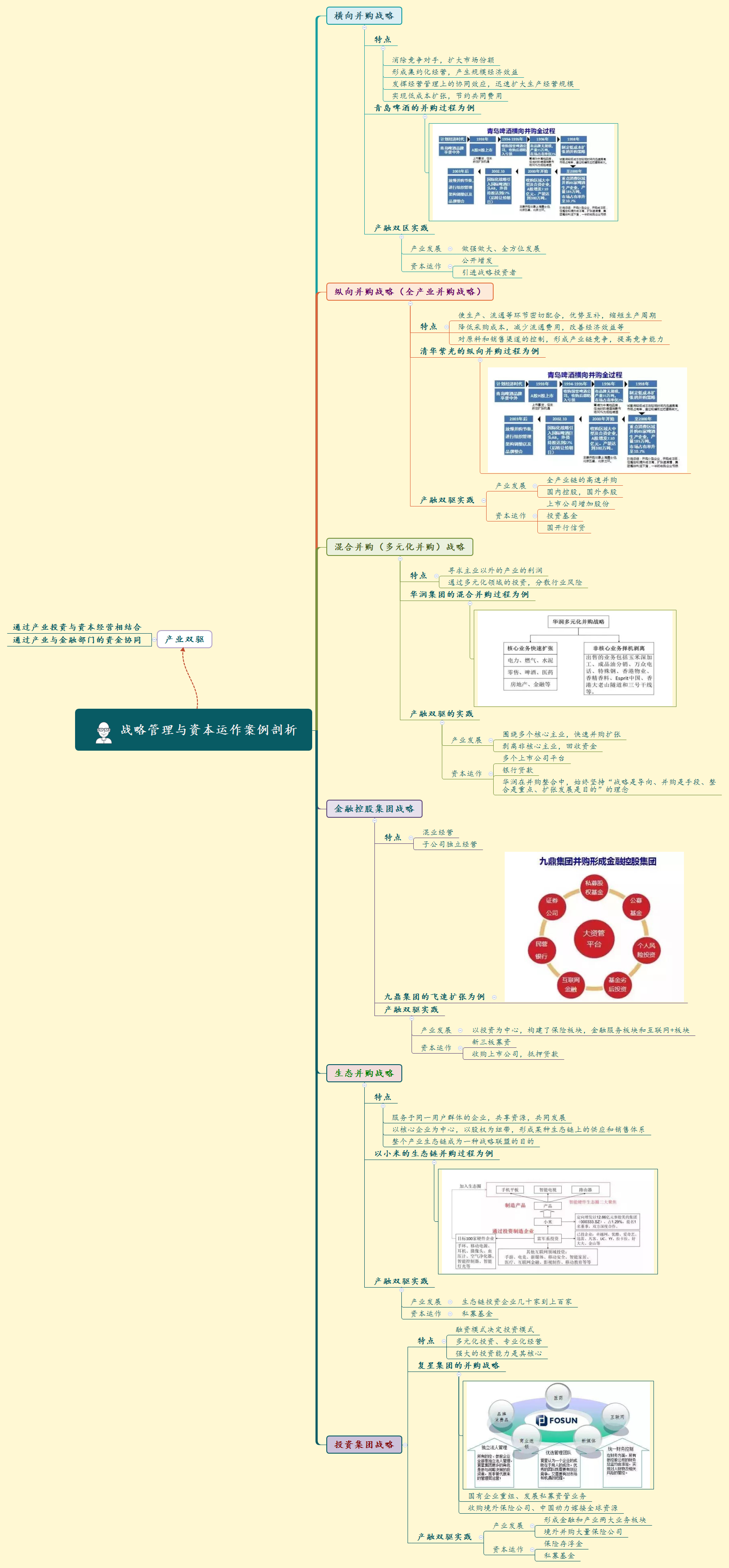 战略管理与资本运作案例剖析.png