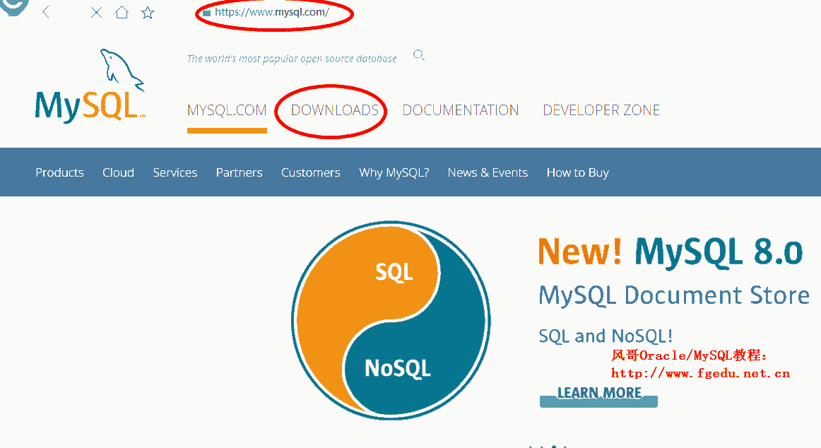 mysql下载1.png