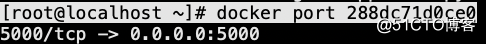 docker运行一个web应用