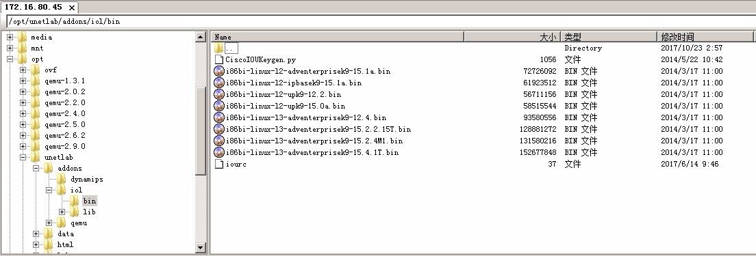 2、EVE-NG镜像导入（Dynamipshe和IOL）