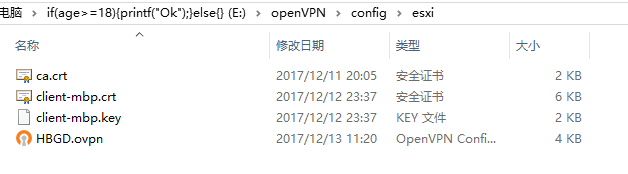 Windows上使用Open***客户端