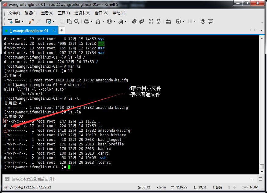 Linux文件类型与命令alias