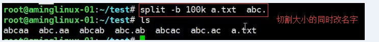 shell特殊符号cut命令sortwcuniq命令tee_tr_split命令shell特殊符号下