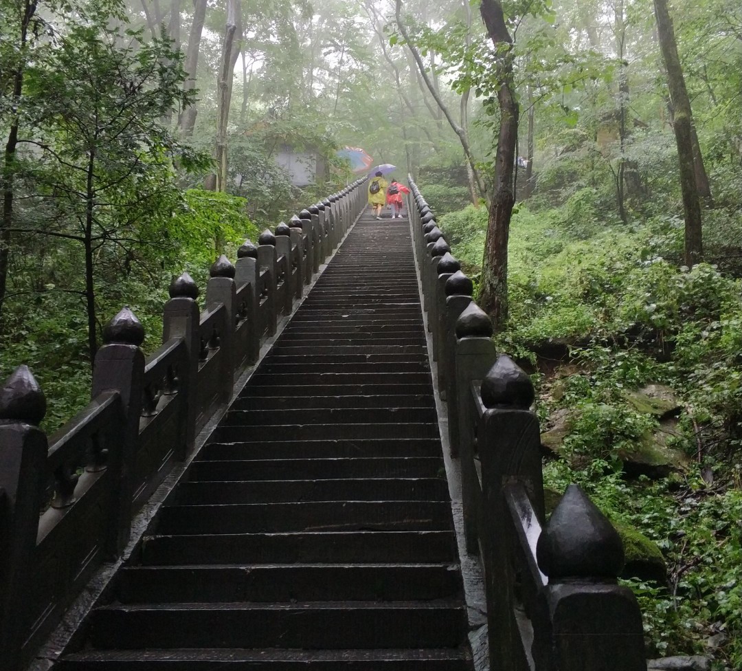 步入三十岁前的总结：看似经历很多得到很多，但，实际却一无所得