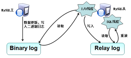 MySQL的主从复制与读写分离原理