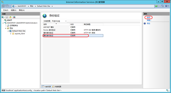 部署 Iaas Server