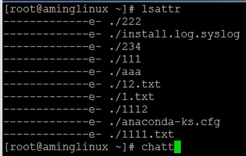 Linux笔记之lsattr chattr隐藏属性