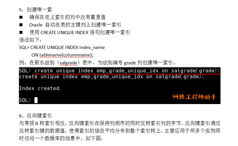 Oracle事务和常用数据对象