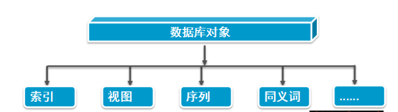 Oracle事务和常用数据对象