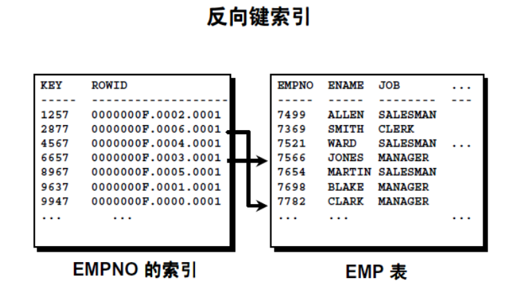 Oracle事务和常用数据对象