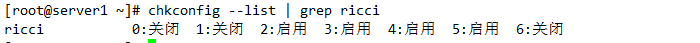 RHCS 集群安装部署