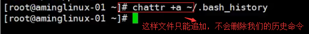 五周第三次课 8.1 shell介绍 8.2 命令历史 8.3 命令补全和别名 8.4 通配符 8.