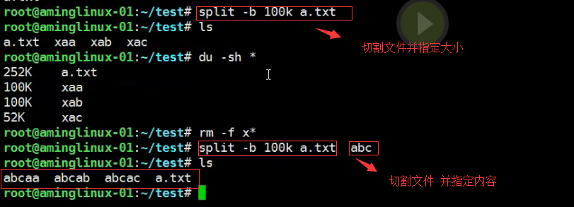 五周第五次课 8.10 shell特殊符号cut命令 8.11 sort_wc_uniq命令 8.1