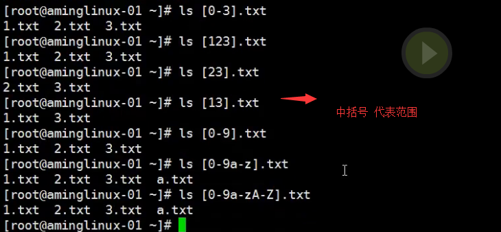 五周第三次课 8.1 shell介绍 8.2 命令历史 8.3 命令补全和别名 8.4 通配符 8.