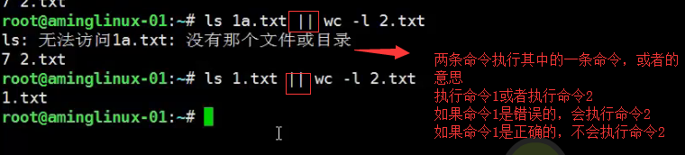 五周第五次课 8.10 shell特殊符号cut命令 8.11 sort_wc_uniq命令 8.1