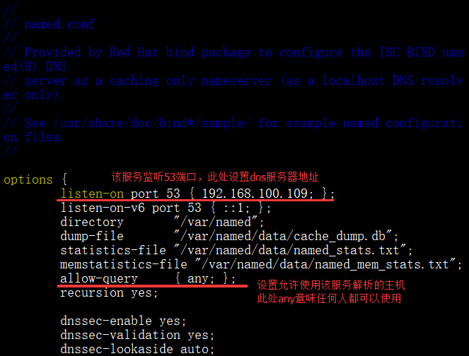 DNS服务器正反向解析&配置主从DNS服务器