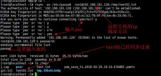 10.28 rsync工具介绍 10.29/10.30 rsync常用选项 10.31 rsync