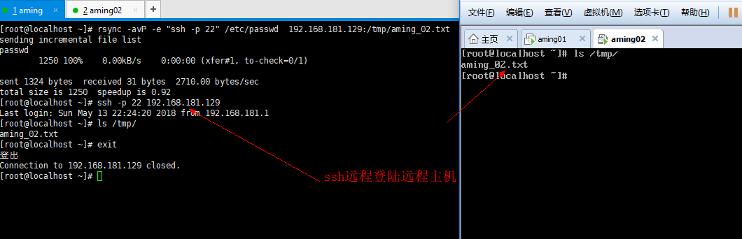 10.28 rsync工具介绍 10.29/10.30 rsync常用选项 10.31 rsync