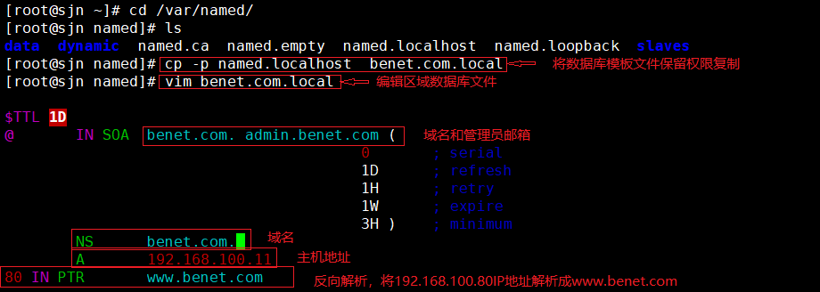 DNS域名解析服务反向解析