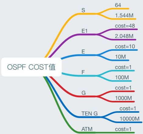 OSPF详解-3 邻接、度量值