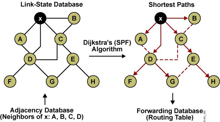 OSPF详解-3 邻接、度量值