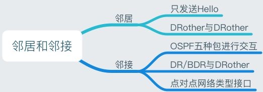 OSPF详解-3 邻接、度量值