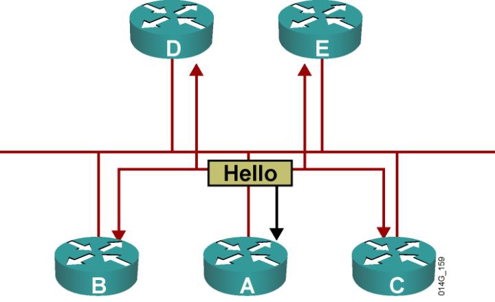 OSPF详解-3 邻接、度量值