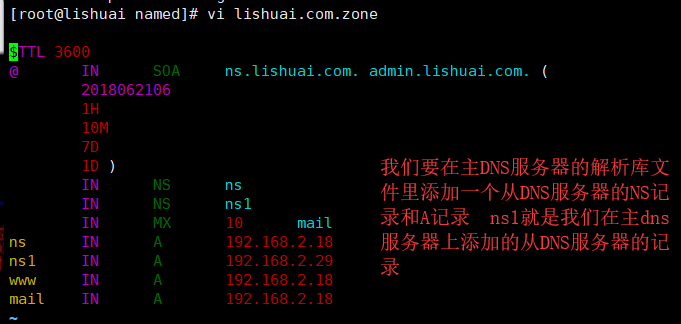 Linux-dns基础知识和BIND的简单配置-3（主从DNS服务器及转发）