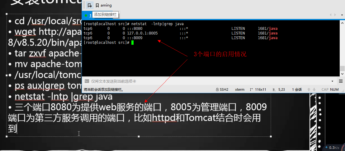 16.1 Tomcat介绍 16.2 安装jdk 16.3 安装Tomcat