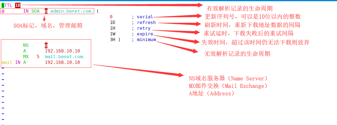 百晓生带你玩转linux系统服务搭建系列----DNS服务的搭建一（正向解析）