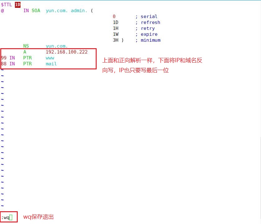 DNS正反解析