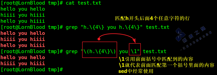 正则表达式