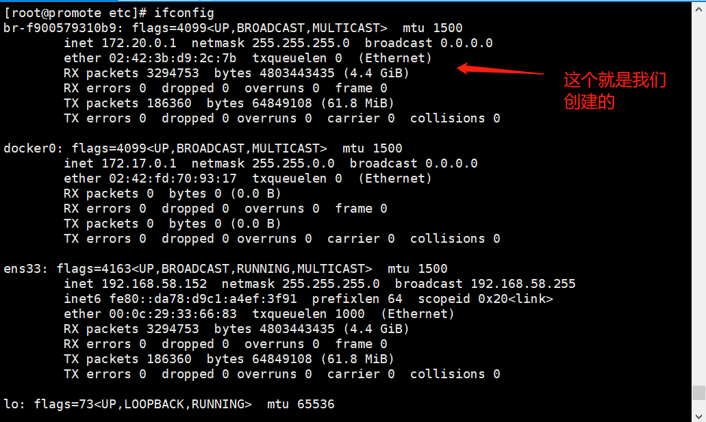 Docker容器之内网独立IP访问